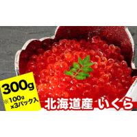 ふるさと納税 いくら 北海道 根室市 C-24010 秋鮭いくら醤油漬け100g×3P(計300g) | ふるさとチョイス