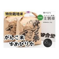 ふるさと納税 北海道 士別市 【北海道士別市】田舎塾の特別栽培米「がんこ米ゆめぴりか」5kg | ふるさとチョイス