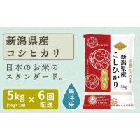 ふるさと納税 無洗米 新潟県 -  定期便全6回 無洗米新潟県産コシヒカリ5kg（受注の翌月から毎月配送）｜新潟県　新潟　無洗米　こしひかり　米　おこめ　お米 | ふるさとチョイス