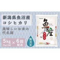 ふるさと納税 無洗米 新潟県 -  定期便全6回 無洗米新潟県魚沼産コシヒカリ5kg（受注の翌月から毎月配送）｜新潟県　新潟　魚沼　無洗米　こしひかり　米　お… | ふるさとチョイス