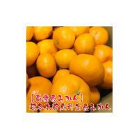 ふるさと納税 果物類 みかん 和歌山県 有田川町 越冬本貯蔵 丹生系 みかん 2kg 先行予約 高糖系みかん | ふるさとチョイス