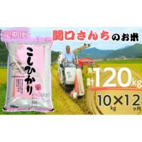 ふるさと納税 長野県 上田市 「関口さんちのお米」コシヒカリ10kg 12か月定期便 [No.5312-0758] | ふるさとチョイス