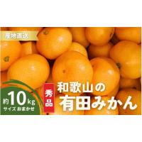 ふるさと納税 果物類 みかん 和歌山県 太地町  1月発送 秀品 有田みかん 和歌山県産 S〜Lサイズ 大きさお任せ 10kg ／ みかん フルーツ 果物 くだもの 有田み… | ふるさとチョイス