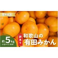 ふるさと納税 果物類 みかん 和歌山県 太地町 家庭用 有田みかん 和歌山 訳あり わけあり 小玉(2S,3Sサイズ混合) 5kg 9月下旬〜1月下旬頃に順次発送予定 ／ み… | ふるさとチョイス