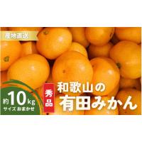 ふるさと納税 果物類 みかん 和歌山県 古座川町  1月発送 秀品 有田みかん 和歌山県産 S〜Lサイズ 大きさお任せ 10kg ／ みかん フルーツ 果物 くだもの 有田… | ふるさとチョイス