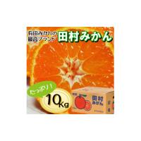 ふるさと納税 果物類 みかん 和歌山県 広川町 有田の高級みかん 田村みかん 秀品 たっぷり 10kg ギフトにもオススメ (S〜Lサイズおまかせ) 11月上旬〜1月下旬… | ふるさとチョイス