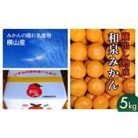 ふるさと納税 果物類 みかん 大阪府 和泉市 隠れ名産地　蔵出し熟成和泉みかん(中玉・大玉サイズミックス)5kg 1499001 | ふるさとチョイス