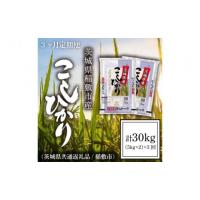 ふるさと納税 茨城県 水戸市 IM-12　【3ヶ月定期便】【令和5年産】茨城県稲敷市産こしひかり計30kg(10kg×3回)（茨城県共通返礼品／稲敷市） | ふるさとチョイス