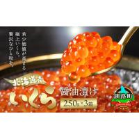 ふるさと納税 いくら 北海道 釧路町 北海道産 いくら醤油漬け 250g×3箱 小分け 配送日時指定可能 国産 しょう油 イクラ ikura 鮭 鮭卵 鮭いくら 魚卵 冷凍 配… | ふるさとチョイス