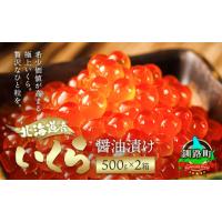 ふるさと納税 いくら 北海道 釧路町 北海道産 いくら醤油漬け 500g×2箱 配送日時指定可能 国産 しょう油 イクラ ikura 鮭 鮭卵 鮭いくら 魚卵 冷凍 配送月指… | ふるさとチョイス