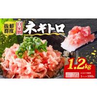 ふるさと納税 マグロ 愛媛県 松山市  3月発送 ネギトロ 1.2kg ( 100g×12パック ) 小分け | 手作り まぐろ 鮪 手詰め ネギトロ ねぎとろ まぐろたたき まぐろ… | ふるさとチョイス