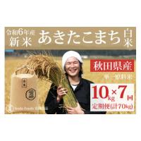 ふるさと納税 秋田県 三種町 《令和6年産 新米予約》《定期便7ヶ月》秋田県産 あきたこまち 10kg(10kg×1袋)×7回【白米】計70kg令和6年産 | ふるさとチョイス