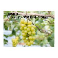 ふるさと納税 山梨県 笛吹市 ＜2024年先行予約＞【ご家庭用に】笛吹市産『訳ありシャインマスカット』1.5kg 167-013 | ふるさとチョイス