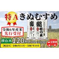 ふるさと納税 岡山県 総社市 【令和6年産】特Aきぬむすめ【精白米】120kg 定期便（10kg×12回）岡山県総社市産米〔令和6年11月から令和7年10月まで毎月配送〕2… | ふるさとチョイス