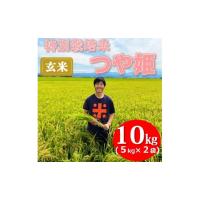 ふるさと納税 山形県 三川町 【令和6年産・玄米】ecofarmすがわらの特別栽培米つや姫10kg　※10月下旬ごろから順次発送開始 令和6年産 ※10月下旬ごろから順次… | ふるさとチョイス