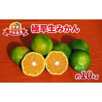 ふるさと納税 果物類 みかん 愛媛県 宇和島市 みかん 極早生みかん 家庭用 10kg 先行予約 ワールドファーマーズ 温州みかん 温州 極早生 早みかん 緑みかん 吉… | ふるさとチョイス