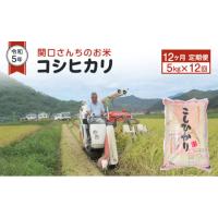 ふるさと納税 長野県 上田市 米 定期便 12ヶ月 令和5年 関口さんちのお米 コシヒカリ 5kg お米 こめ コメ 精米 白米 ご飯 こしひかり 長野 信州 12回 お楽しみ… | ふるさとチョイス