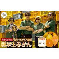ふるさと納税 果物類 みかん 和歌山県 海南市 家庭用 森本農園の手選別 極早生みかん 4.5kg 和歌山県産 2S~2Lサイズ混合 ［北海道・沖縄・離島配送不可］［RN2… | ふるさとチョイス