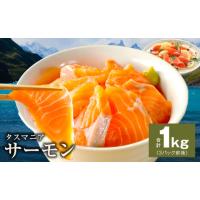 ふるさと納税 魚貝類 サーモン 大阪府 泉佐野市 タスマニアサーモン 1kg アトランティクサーモン 真空パック 小分け ブロック 訳あり サイズ不揃い 上質 刺身 … | ふるさとチョイス
