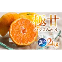 ふるさと納税 果物類 みかん 愛知県 豊橋市  先行予約 超濃厚 ハウスみかん『蜜ツ星』 家庭用 2kg　マルカワ園芸 選べる容量： ご家庭用 2キロ | ふるさとチョイス