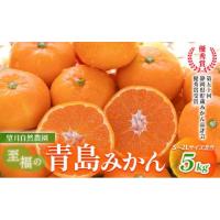 ふるさと納税 果物類 みかん 静岡県 静岡市  2025年12月下旬より順次発送 至福の青島みかん 約5kg 望月自然農園 静岡県貯蔵ミカン品評会優秀賞 フルーツ 柑橘 … | ふるさとチョイス