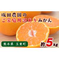 ふるさと納税 果物類 みかん 熊本県 玉東町  みかん 先行予約 旬 日付指定不可 ご家庭用 訳あり 『坂田農園』 ご家庭 用 みかん 約 5kg (2S-2Lサイズ) 熊本 予… | ふるさとチョイス