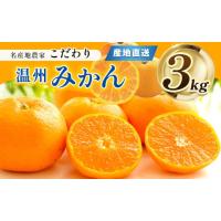 ふるさと納税 果物類 みかん 熊本県 玉名市 熊本県産 こだわりみかん 約3kg | 果物 くだもの フルーツ 柑橘 柑橘類 みかん ミカン 熊本県 玉名市 | ふるさとチョイス