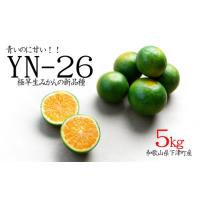 ふるさと納税 果物類 みかん 和歌山県 海南市 極早生みかん YN26 約5kg 2S-3S 《ご家庭用》 和歌山県海南市産 農園直送 まごころ産直みかん 9月中旬よりお届け… | ふるさとチョイス