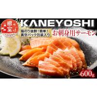 ふるさと納税 魚貝類 サーモン 北海道 根室市 G-09001 12／14まで年内配送 お刺身トラウトサーモン600g | ふるさとチョイス