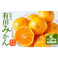ふるさと納税 果物類 みかん 和歌山県 湯浅町  2026年先行予約 ご家庭用　和歌山有田みかん 約5kg (2L、3Lサイズいずれか) 湯浅町 _AT6307 | ふるさとチョイス
