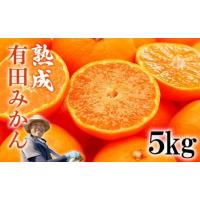 ふるさと納税 果物類 みかん 和歌山県 有田川町 熟成　有田みかん 5kg（約50個） | ふるさとチョイス