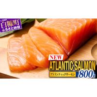 ふるさと納税 魚貝類 サーモン 北海道 白糠町  TOWA SALMON アトランティック サーモン 800g 鮭 サーモン さけ シャケ しゃけ sake カルパッチョ ソテー レア… | ふるさとチョイス