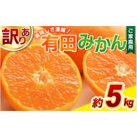 ふるさと納税 果物類 みかん 和歌山県 古座川町 有田みかん 訳あり 約5kg サイズ混合 2025年11月中旬より順次発送予定 ／ 訳ありみかん みかん 蜜柑 柑橘 フル… | ふるさとチョイス