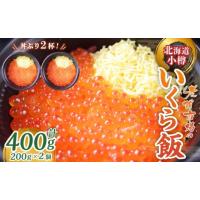 ふるさと納税 寿司 北海道 小樽市 いくら飯（いくら醤油漬け）200g×2個 （400g） | ふるさとチョイス