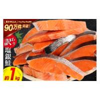 ふるさと納税 魚貝類 鮭 宮城県 気仙沼市 訳あり 銀鮭 切身 約1kg 宮城東洋 宮城県 気仙沼市 20564663 鮭 海鮮 規格外 不揃い さけ サケ 鮭切身 シャケ 切り身… | ふるさとチョイス