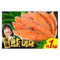 ふるさと納税 魚貝類 鮭 宮城県 気仙沼市 訳あり 無添加 減塩 塩鮭 切身 総重量 1kg 足利本店 宮城県 気仙沼市 20565550 魚 魚介類 サーモン 鮭 海鮮 魚介 甘… | ふるさとチョイス