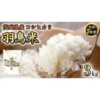 ふるさと納税 米 コシヒカリ 茨城県 桜川市 《 令和7年産 先行予約 》 コシヒカリ 「幻の米 羽鳥米」 3kg (3kg × 1袋) 筑波北麓秘蔵米 お米 ごはん 精米 コメ… | ふるさとチョイス
