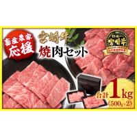 ふるさと納税 牛肉 焼肉・バーベキュー 宮崎県 西都市  畜産農家応援 宮崎牛 赤身＆肩ロース 食べ比べ焼肉セット１kg （500g ×2）4等級以上 ミヤチク 内閣総… | ふるさとチョイス