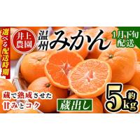ふるさと納税 果物類 みかん 大分県 宇佐市  1月下旬より順次発送予定 大分県宇佐市産 蔵出し みかん(約5kg)ミカン 蜜柑 柑橘 フルーツ 果物 くだもの 果実 国… | ふるさとチョイス