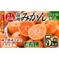 ふるさと納税 果物類 みかん 大分県 宇佐市  2月上旬より順次発送予定 大分県宇佐市産 蔵出し みかん(約5kg)ミカン 蜜柑 柑橘 フルーツ 果物 くだもの 果実 国… | ふるさとチョイス