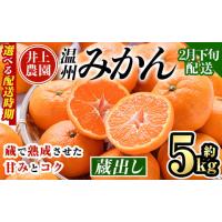 ふるさと納税 果物類 みかん 大分県 宇佐市  2月下旬より順次発送予定 大分県宇佐市産 蔵出し みかん(約5kg)ミカン 蜜柑 柑橘 フルーツ 果物 くだもの 果実 国… | ふるさとチョイス