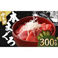 ふるさと納税 マグロ 長崎県 時津町 長崎県産 本マグロ「中トロ」約300g 大村湾漁業協同組合 | ふるさとチョイス