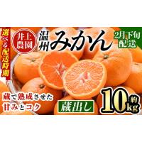 ふるさと納税 果物類 みかん 大分県 宇佐市  2月下旬より順次発送予定 大分県宇佐市産 蔵出し みかん(約10kg)ミカン 蜜柑 柑橘 フルーツ 果物 くだもの 果実 … | ふるさとチョイス