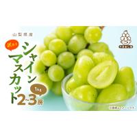 ふるさと納税 ぶどう マスカット 山梨県 山梨市  訳あり 池田青果のシャインマスカット2房〜3房　1kg ふるさと納税 1544089 | ふるさとチョイス