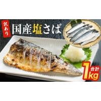 ふるさと納税 魚貝類 宮城県 石巻市  訳あり 国産 塩さばフィレ 1kg ( 10枚前後 ) 冷凍 国産さば 切身 フィレ わけあり 不揃い サバフィレ 塩サバ サバ 魚 鯖 … | ふるさとチョイス
