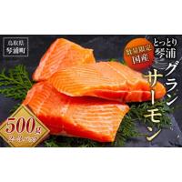 ふるさと納税 魚貝類 サーモン 鳥取県 琴浦町 サーモン 琴浦 グランサーモン 500g ( 2-3パック ) 刺身 生食可 国産 サーモン 養殖 陸上養殖 サーモン 刺し身 … | ふるさとチョイス