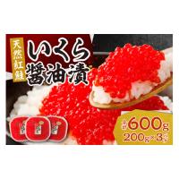 ふるさと納税 いくら 北海道 札幌市 北海道加工　紅鮭いくら醤油漬け　600g | ふるさとチョイス