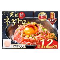 ふるさと納税 マグロ 静岡県 吉田町  4月発送 天然 マグロ ネギトロ まぐろたたき 冷凍 60g 20パック 計1.2kg 小分け 個包装 FY03 トライ産業 静岡県 吉田町 2… | ふるさとチョイス