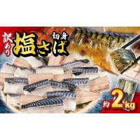 ふるさと納税 旬の鮮魚等 千葉県 銚子市 訳あり 塩サバ切身 約2kg ノルウェー産 冷凍 サハ゛ 鯖 塩サバ 塩鯖 鯖切身 鯖切り身 サバ切身 サバ切り身 切り身 切… | ふるさとチョイス