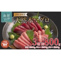 ふるさと納税 マグロ 北海道 函館市 セレクト朝市「津軽海峡産天然本まぐろ」（赤身 約300g、中トロ 約300g、大トロ 約200g）_HD009-034 | ふるさとチョイス